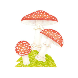 How to Draw: Nature ryhmässä Askartelu ja Harrastus / Kirjat / Ohjekirjat @ Pen Store (137224)