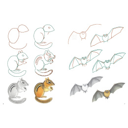 How to Draw: Nature ryhmässä Askartelu ja Harrastus / Kirjat / Ohjekirjat @ Pen Store (137224)
