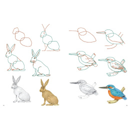 How to Draw: Nature ryhmässä Askartelu ja Harrastus / Kirjat / Ohjekirjat @ Pen Store (137224)