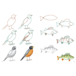 How to Draw: Nature ryhmässä Askartelu ja Harrastus / Kirjat / Ohjekirjat @ Pen Store (137224)