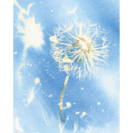 Loose and Lively Flowers in Watercolour, Inks & Mixed Media ryhmässä Askartelu ja Harrastus / Kirjat / Inspiraatiokirjat @ Pen Store (137226)
