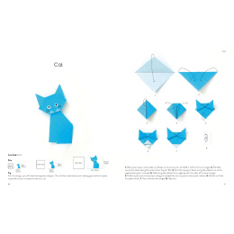 Origami for the Absolute Beginner ryhmässä Askartelu ja Harrastus / Kirjat / Ohjekirjat @ Pen Store (137227)