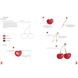 Paint 50: Watercolour Nature ryhmässä Askartelu ja Harrastus / Kirjat / Ohjekirjat @ Pen Store (137229)