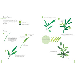 Paint 50: Watercolour Nature ryhmässä Askartelu ja Harrastus / Kirjat / Ohjekirjat @ Pen Store (137229)