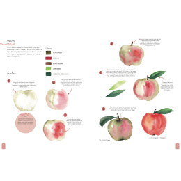 Paint 50: Watercolour Nature ryhmässä Askartelu ja Harrastus / Kirjat / Ohjekirjat @ Pen Store (137229)