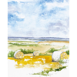 Painting Landscapes ryhmässä Askartelu ja Harrastus / Kirjat / Inspiraatiokirjat @ Pen Store (137230)
