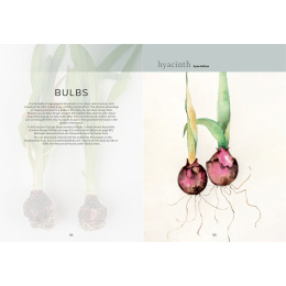 The Colour Mixing Guide: Watercolour Botanicals ryhmässä Askartelu ja Harrastus / Kirjat / Inspiraatiokirjat @ Pen Store (137234)