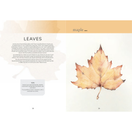 The Colour Mixing Guide: Watercolour Botanicals ryhmässä Askartelu ja Harrastus / Kirjat / Inspiraatiokirjat @ Pen Store (137234)