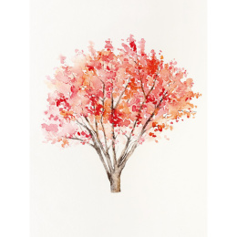 The Colour Mixing Guide: Watercolour Woodland ryhmässä Askartelu ja Harrastus / Kirjat / Inspiraatiokirjat @ Pen Store (137236)