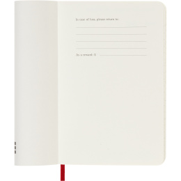 Kalenteri 12M Daily 2027 Softcover Pocket Red ryhmässä Paperit ja Lehtiöt / Kalenterit / 12 kk kalenterit @ Pen Store (137436)