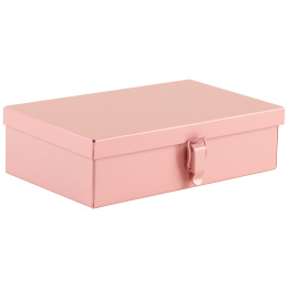 Storage Case Bright Pink ryhmässä Askartelu ja Harrastus / Järjestää / Laatikko @ Pen Store (137540)