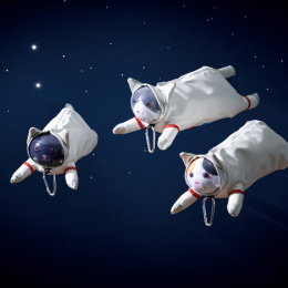 Kynäkotelo Astro Cat Mikeco ryhmässä Kynät / Kynätarvikkeet / Penaalit ja kynäkotelot @ Pen Store (137909)